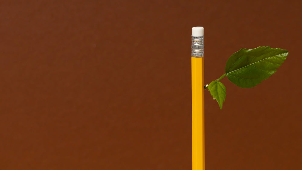 Eco-Friendly Recycled Pencil