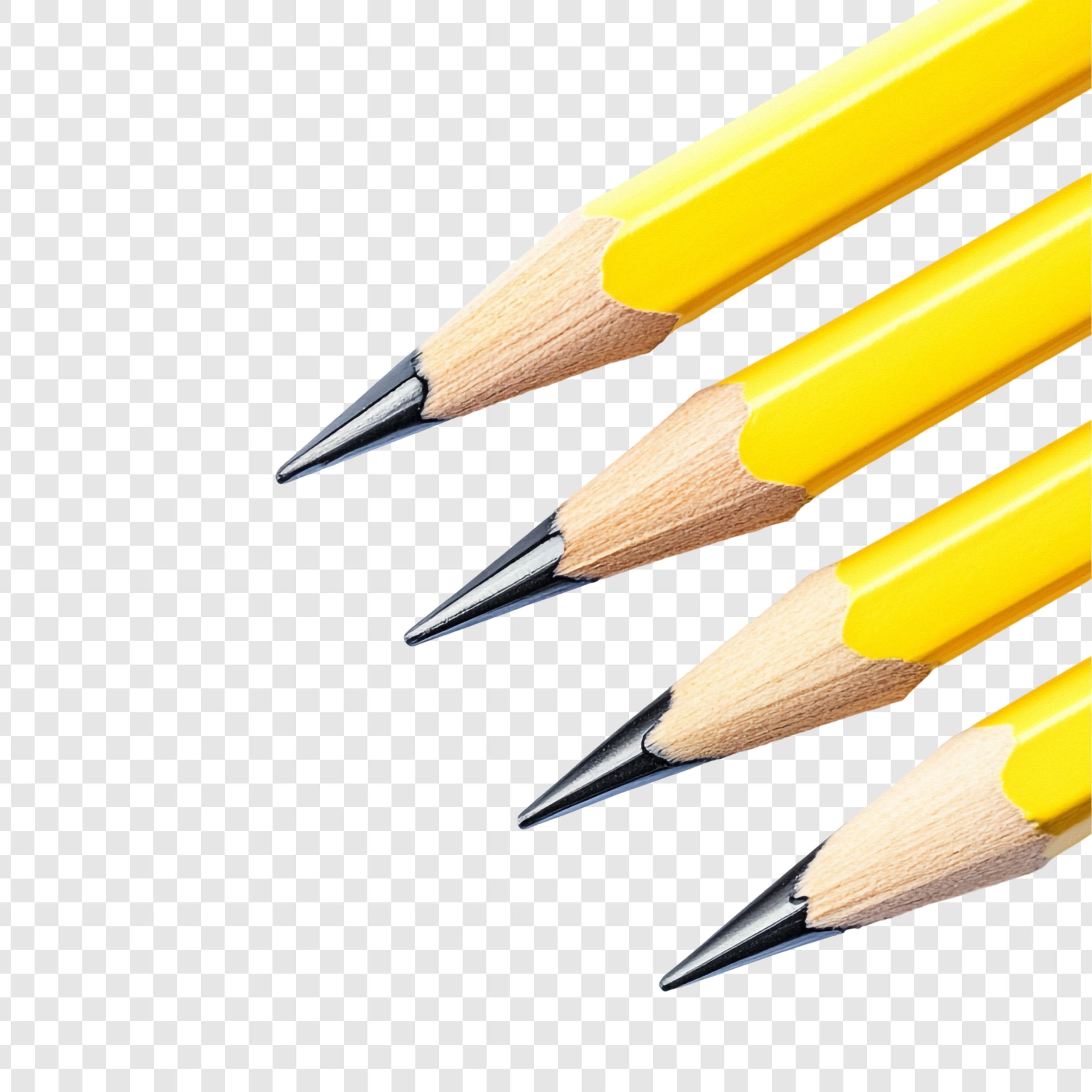 Luxury Gold Foil Pencil Set